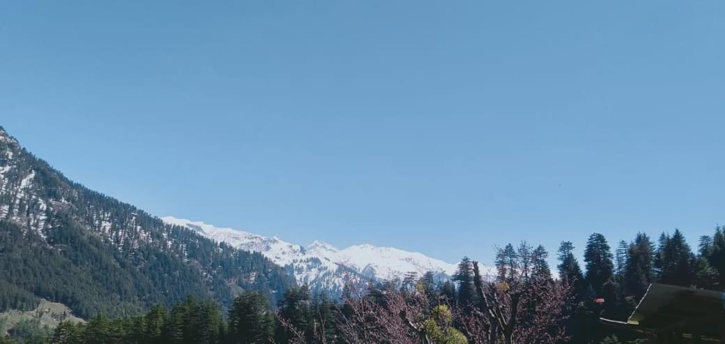 Maha Mountain Home And Cafe Manāli Buitenkant foto